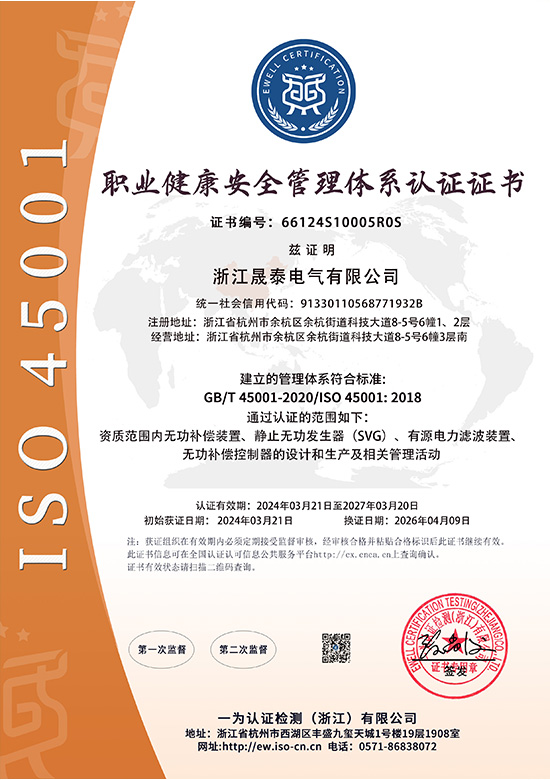 職業(yè)S中文